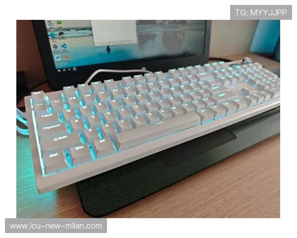 电竞博物馆：鼠标与键盘的退役展品，电竞鼠标的功能键的说明